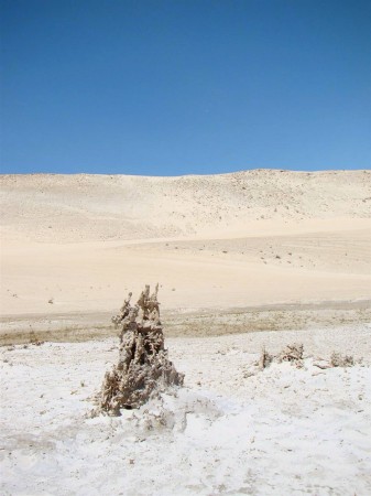 Processo de petrificação das dunas em Tatajuba