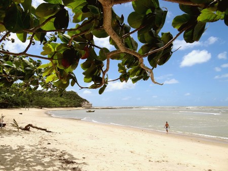 Tranquilidade, sombra e água fresca na Praia do Espelho - Trancoso Bahia