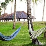 Que tal relaxar nas redes do coqueiral?