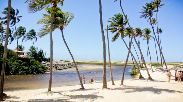 Coqueiros, praia e manguezal... tudo em um único cenário. Isso é Punaú!