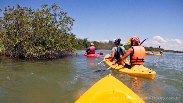 Remando dentro das "levadas" do manguezal na Lagoa Guaraíras