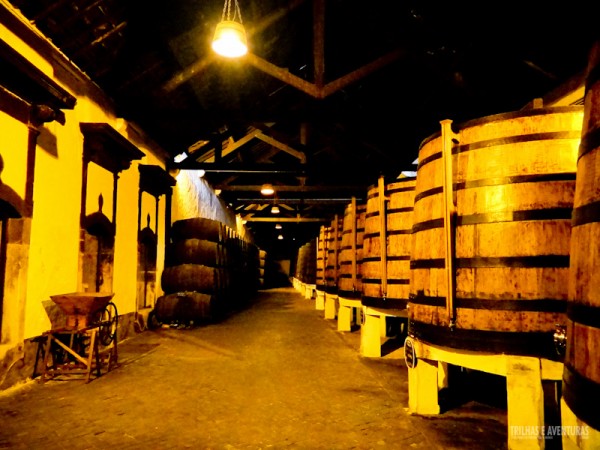 Enormes barris de vinho na Vinícola Ferreira
