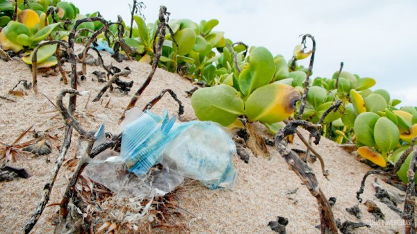 Muito plástico e lixo espalhado nas praias