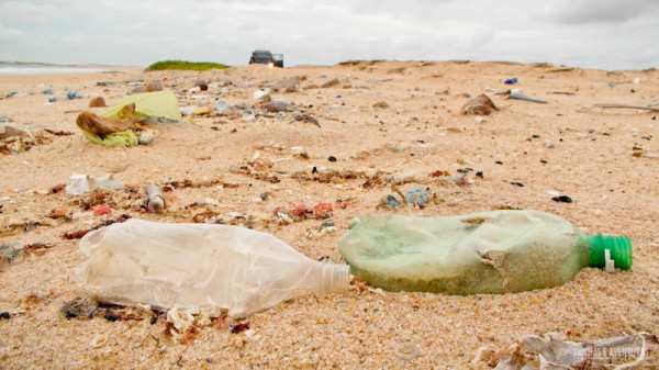 Quilômetros e quilômetros de lixo nas praias do Ceará