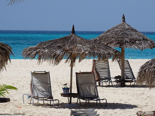 Manchebo Resort Eagle Beach Aruba-4