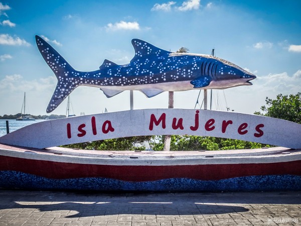 O tubarão-baleia é o símbolo de Isla Mujeres