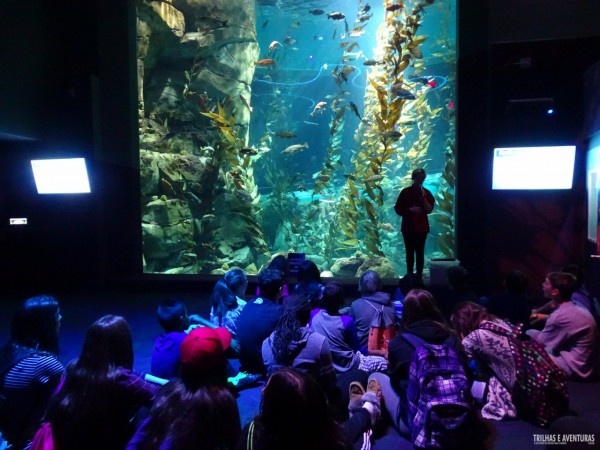 Ripleys Aquarium de Toronto-6