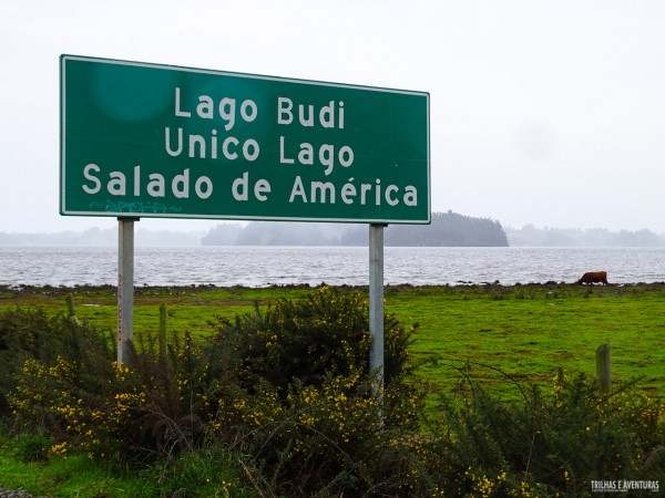 O Lago Budi é o único lago salgado das Américas