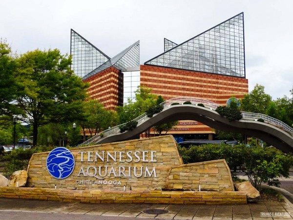 Tennessee Aquarium em Chattanooga