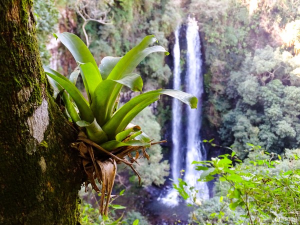 Uma das muitas cachoeiras do EcoParque Sperry, em Canela