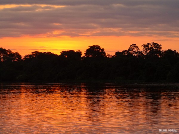Mais um fim de tarde dourado no Pantanal