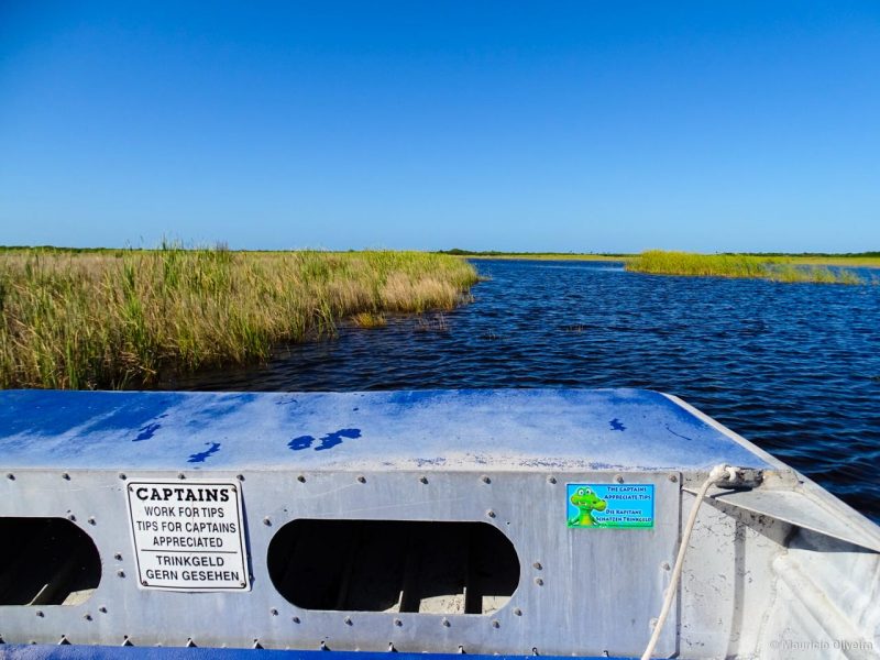 Os passeios de Airboats fazem sucesso nos Everglades