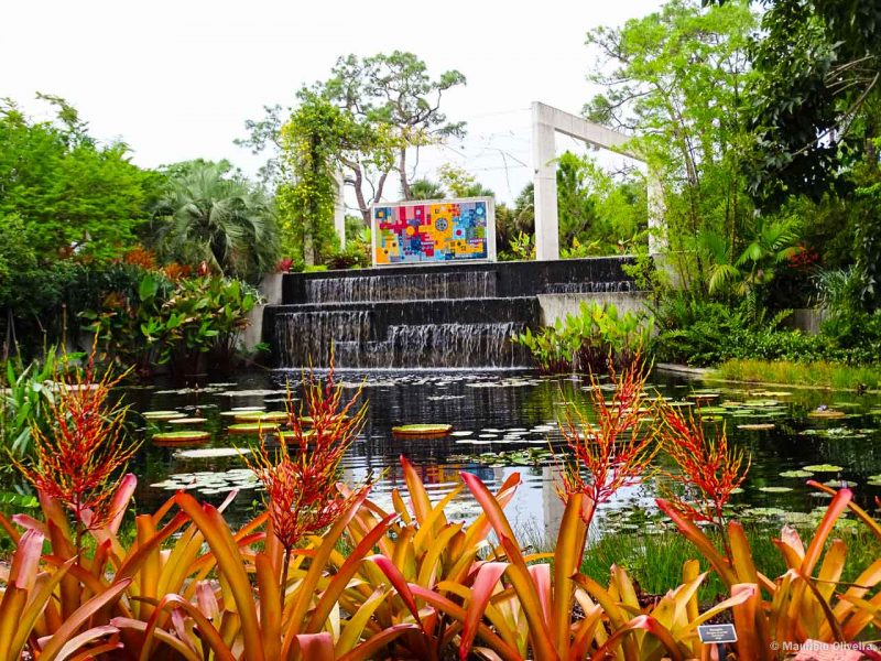O Naples Botanical Garden é uma das pérolas de Paradise Coast