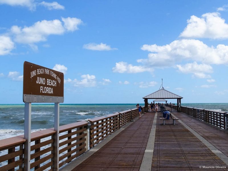 Juno Pier em The Palm Beaches