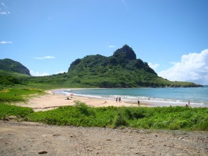 Baía do Sueste - O Paraíso das Tartarugas Marinhas