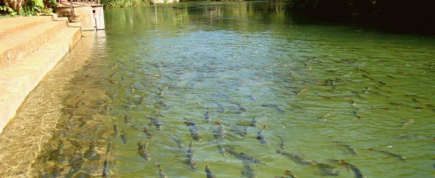 Balneário Municipal, Bonito - MS