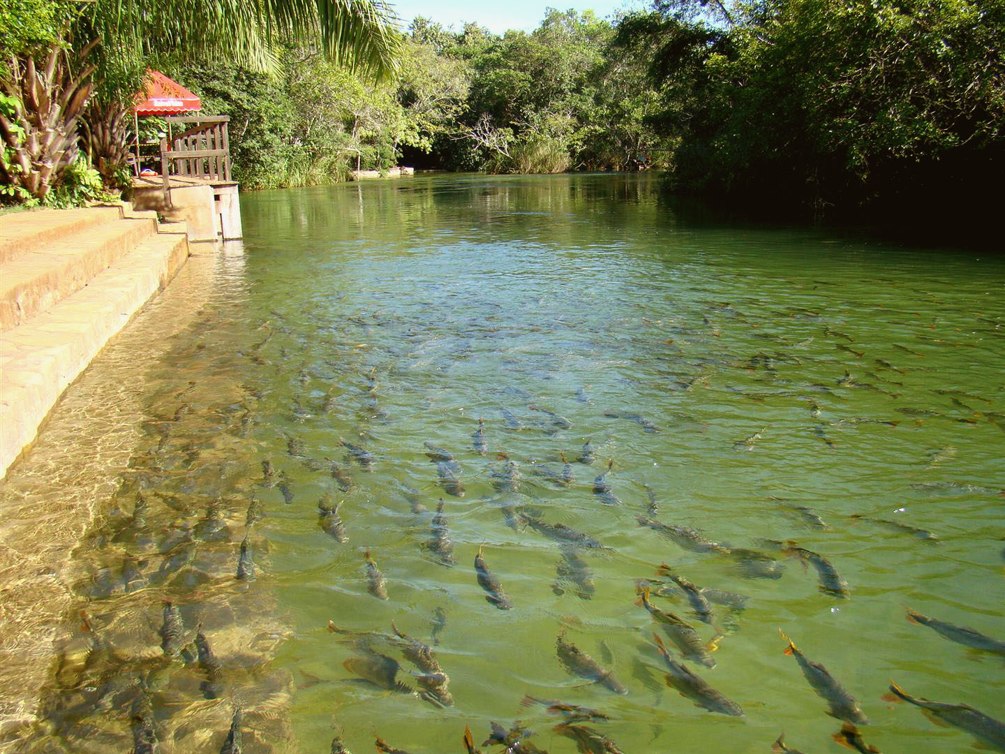 Balneário Municipal, Bonito - MS