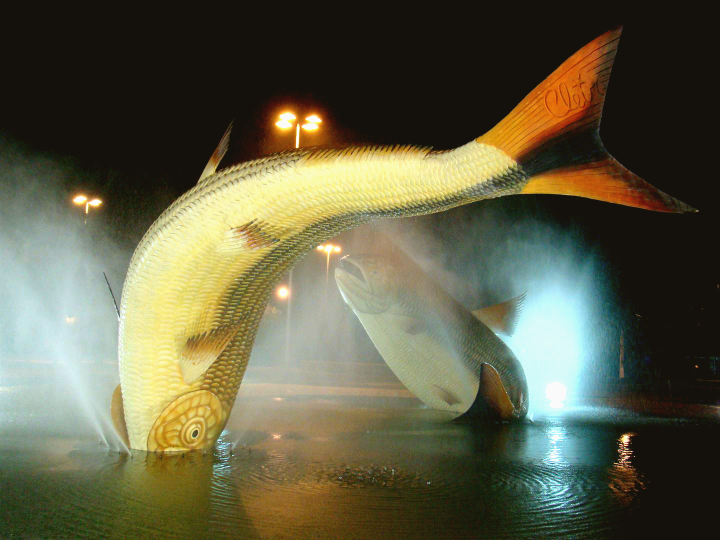 Piraputangas da Praça da Liberdade, Bonito - MS