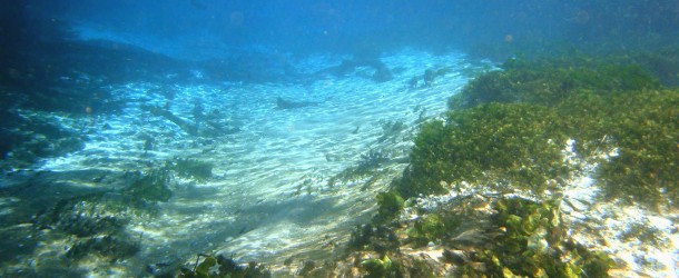 Mergulho no Rio Sucuri, Bonito - MS