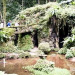 Parque Lage - Caverna