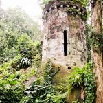 Parque Lage - Torre