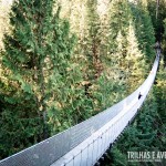 Capilano Suspension Bridge - Vancouver