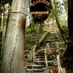 Treetop Adventure no Capilano Suspension Bridge