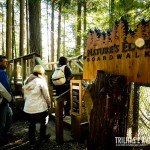 Nature's Edge Boardwalk - Capilano Suspension Bridge