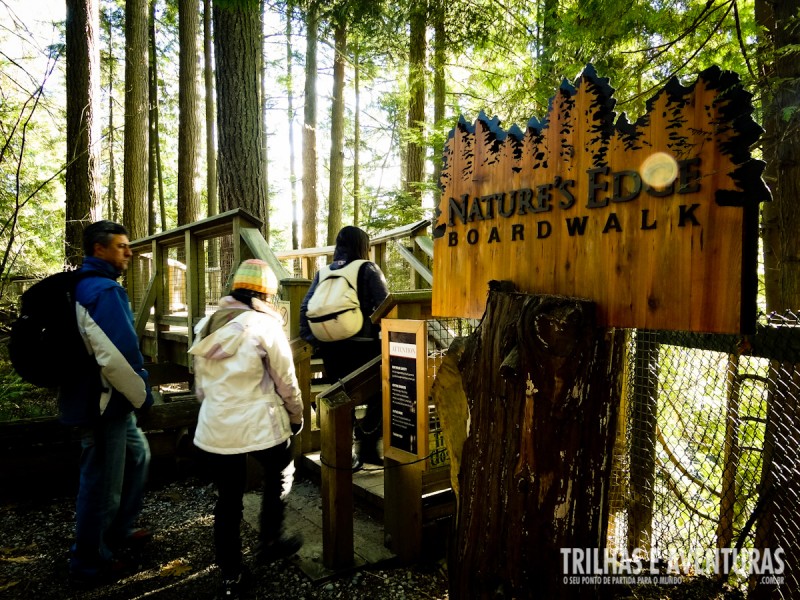 Nature's Edge Boardwalk - Capilano Suspension Bridge