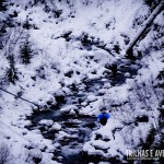 Adrenalina e emoção nas tirolesas de Whistler