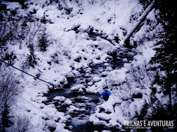 Adrenalina e emoção nas tirolesas de Whistler