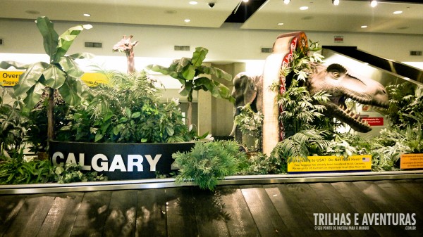 Os animais dão as boas vindas em Calgary