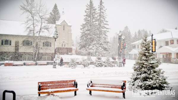 Bancos cobertos de neve em Banff