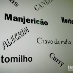 Parede criativa com os nomes de ingredientes de Pizza