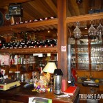 Bar com diversas opções de vinhos