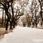 Plaza General San Martin - Buenos Aires, Argentina