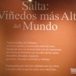 Vinhos de Salta - Museu da Vida e do Vinho em Cafayate, Argentina