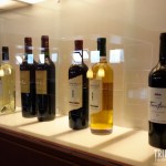 Garrafas em Exposição - Museu da Vida e do Vinho em Cafayate, Argentina