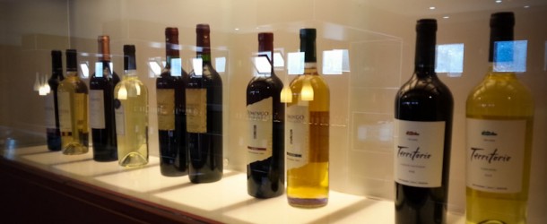 Garrafas em Exposição - Museu da Vida e do Vinho em Cafayate, Argentina