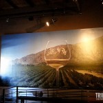 Painel de Salta - Museu da Vida e do Vinho em Cafayate, Argentina