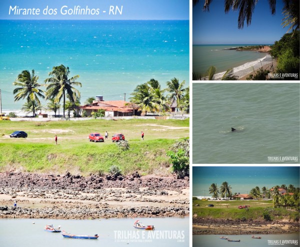 O Mirante dos Golfinhos possui uma vista incrível, mas é preciso ter sorte para ver os famosos golfinhos