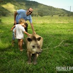 As antas são súper dóceis e adoram receber carinhos