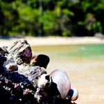 Os cantinhos da praia reservam fotos incríveis como esta