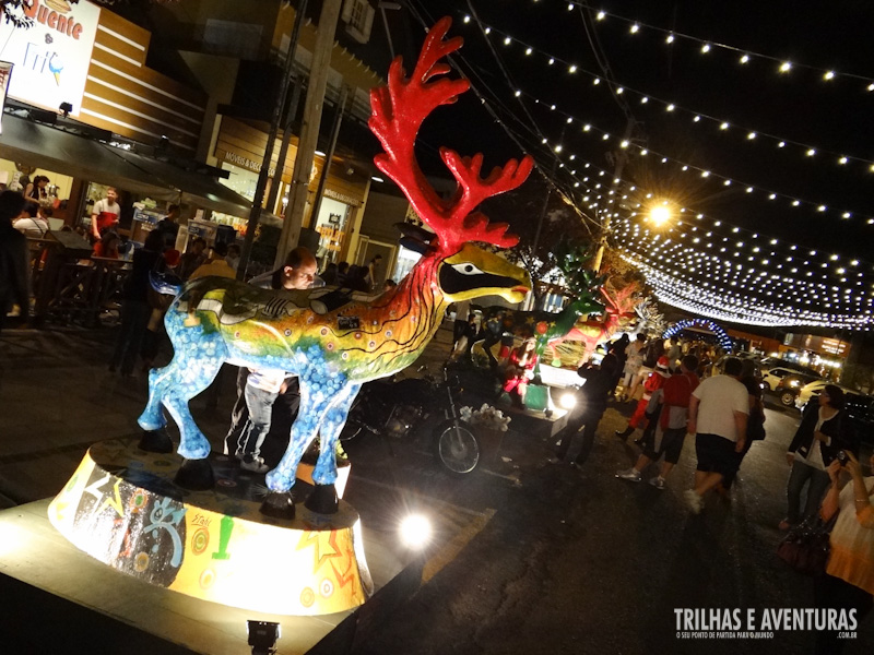 Exposição de Renas, durante o Natal Luz de Gramado