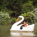 Pedalinhos do Parque do Lago Negro