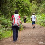 A Trilha do Cotovelo é uma leve caminhada por 6km de estrada de chão batida