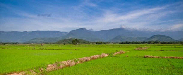 As cores do campos de arroz competem com o lindo céu azul
