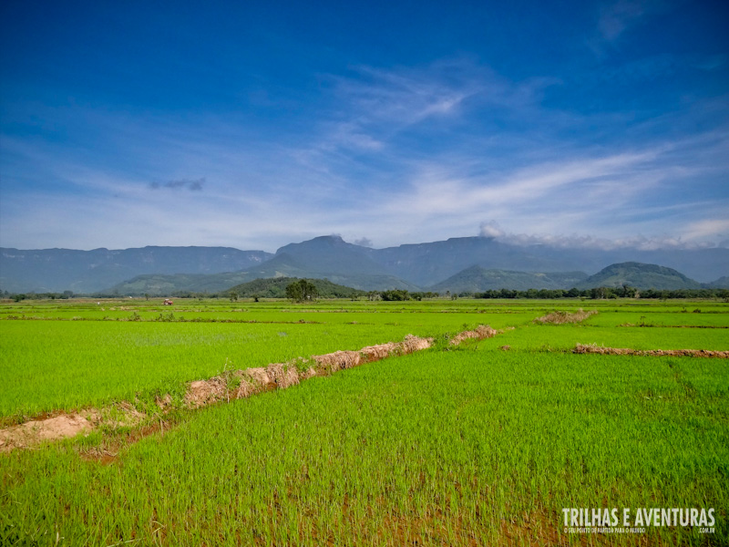 As cores do campos de arroz competem com o lindo céu azul