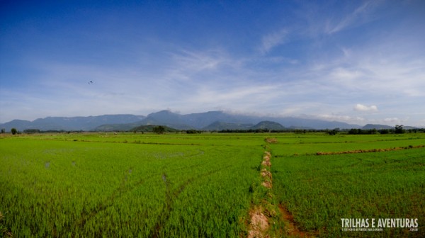 As cores do campos de arroz competem com o lindo céu azul