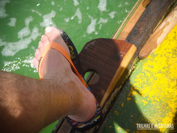 Águas verdes rica em vida na Barra do Cunhaú